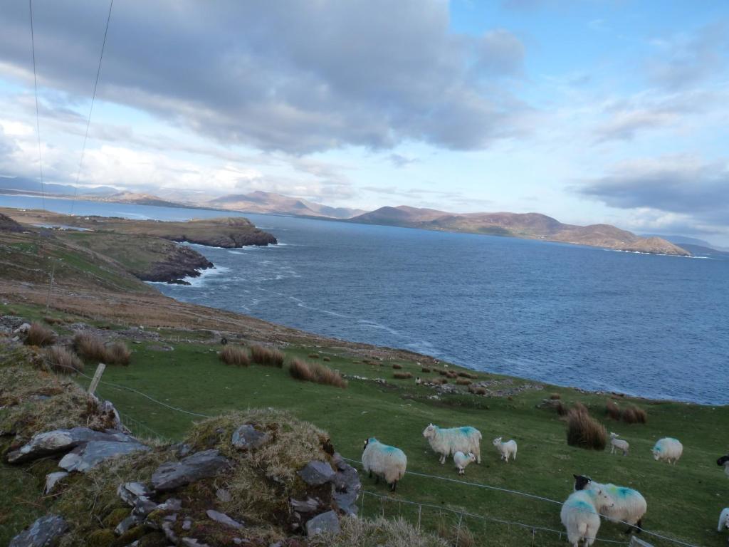 Skellig Cottages Ballinskelligs Exterior photo
